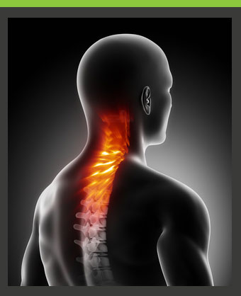 Houston Area Chiropractors